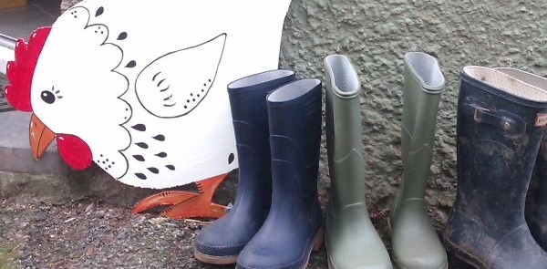 Cutout hen and wellies